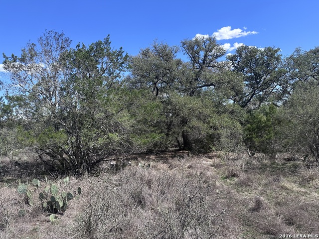 Image 5 of 9 For 119 Cartama  