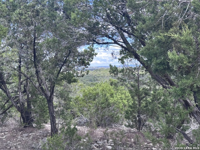 Image 9 of 10 For 214 Restless Wind