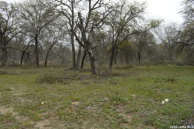 Image 18 of 19 For 23030 Grand  