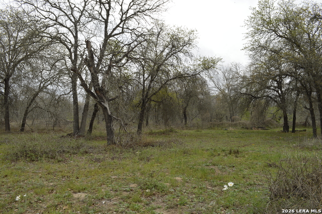 Image 19 of 19 For 23030 Grand  