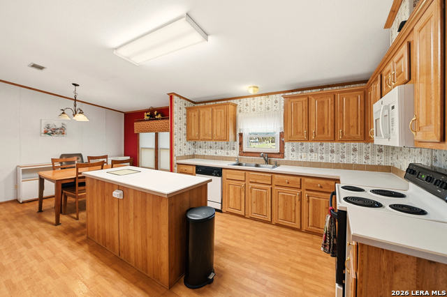 Image 28 of 51 For 169 Saddle Dr.