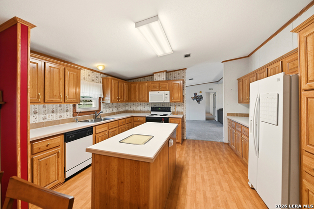 Image 29 of 51 For 169 Saddle Dr.