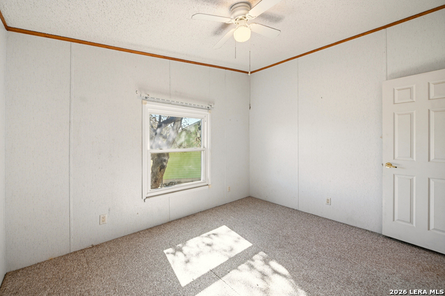 Image 35 of 51 For 169 Saddle Dr.