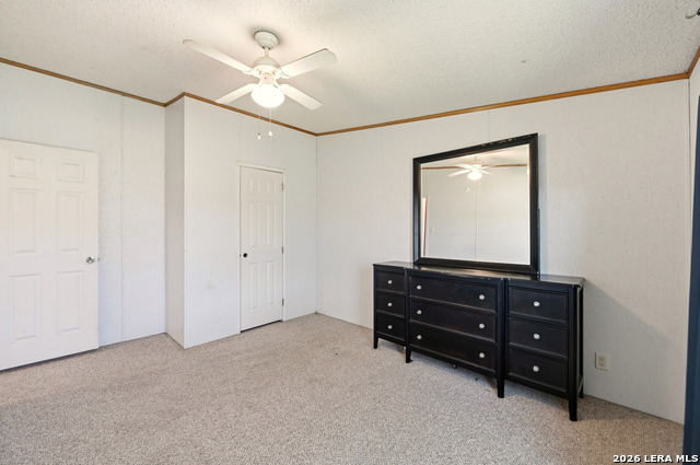 Image 44 of 51 For 169 Saddle Dr.