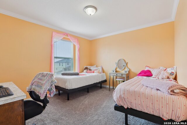 Image 24 of 44 For 11765 Red Pheasant