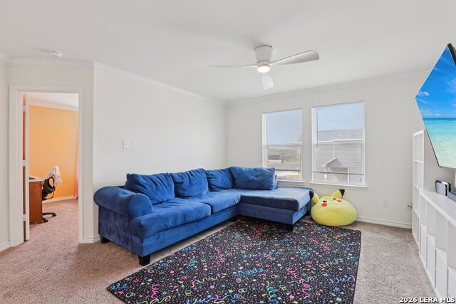 Image 26 of 44 For 11765 Red Pheasant