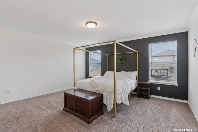 Image 28 of 44 For 11765 Red Pheasant