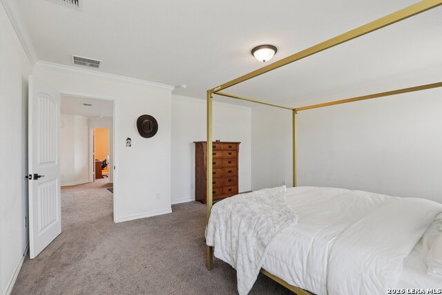 Image 29 of 44 For 11765 Red Pheasant