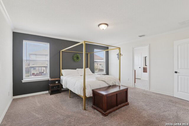 Image 30 of 44 For 11765 Red Pheasant