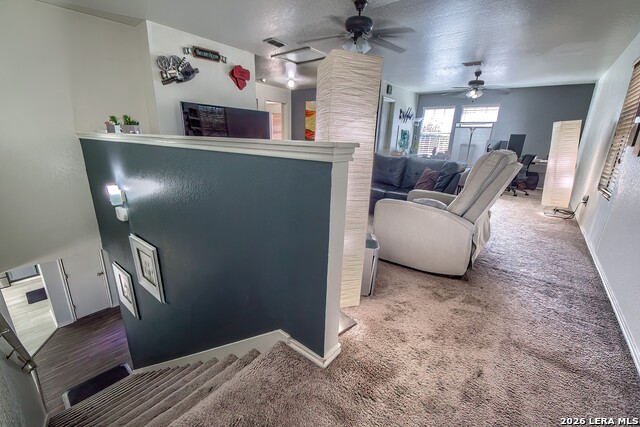 Image 18 of 36 For 9143 Malabar Canyon