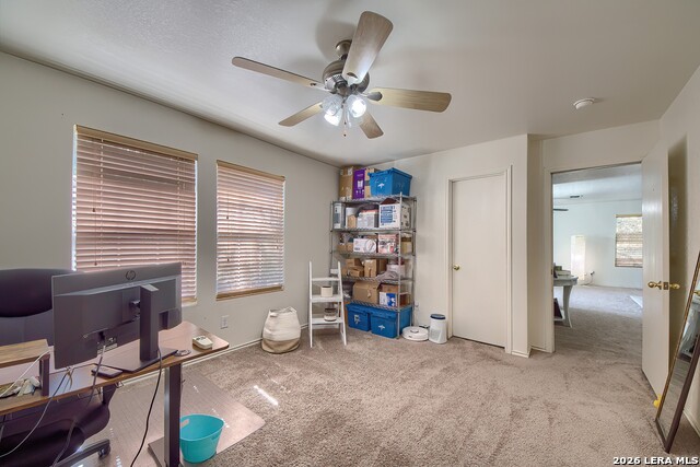 Image 28 of 36 For 9143 Malabar Canyon