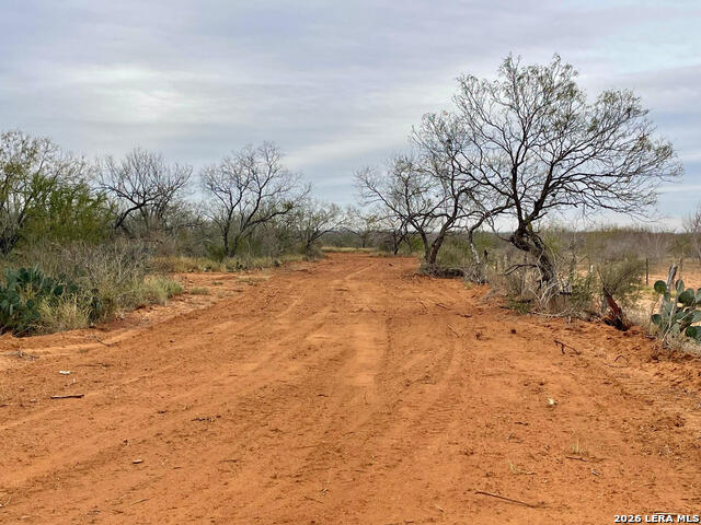 Details for 7.55 Acres Cr 2701, Bigfoot, TX 78005