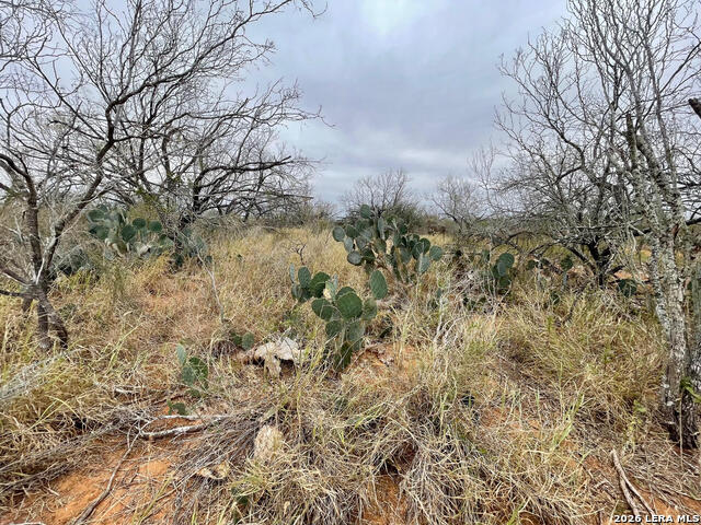 Image 3 of 11 For 7.55 Acres Cr 2701