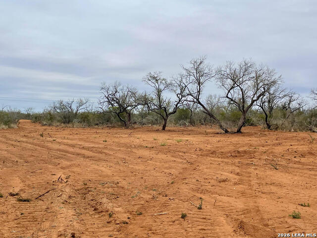 Image 8 of 11 For 7.55 Acres Cr 2701