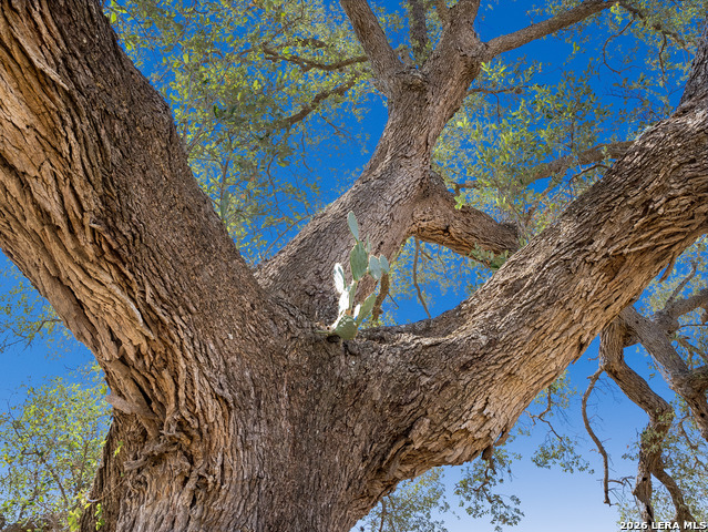 Image 20 of 26 For 21419 Us Highway 90
