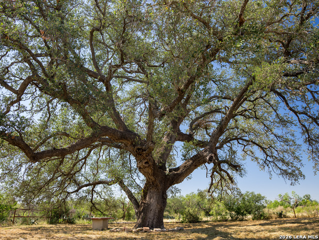 Image 5 of 26 For 21419 Us Highway 90