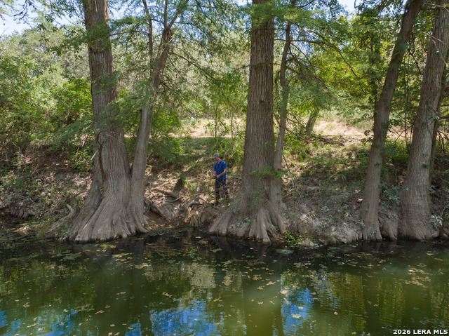 Image 7 of 26 For 21419 Us Highway 90