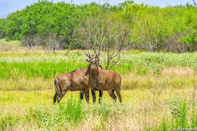 Image 10 of 10 For Tbd Zinnia Road