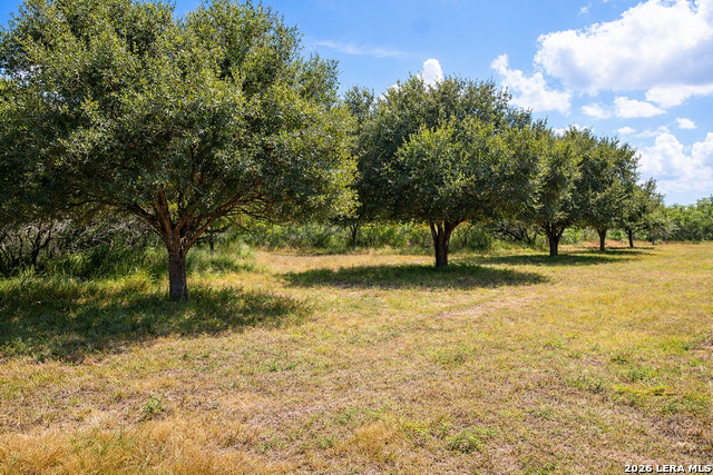 Image 3 of 10 For Tbd Zinnia Road