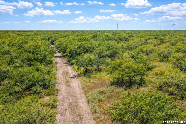 Image 7 of 10 For Tbd Zinnia Road