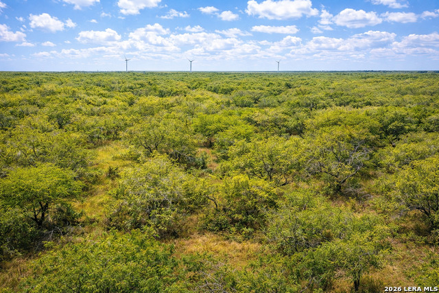 Image 8 of 10 For Tbd Zinnia Road