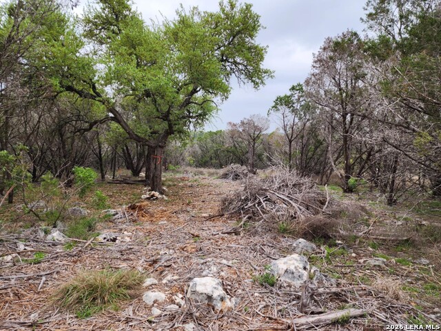 Image 3 of 11 For 1745 Moon View