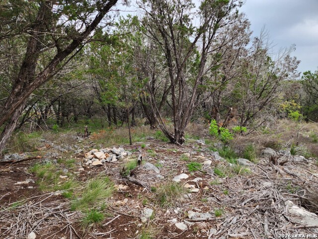 Image 5 of 11 For 1745 Moon View