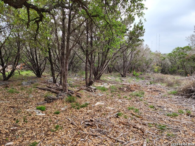 Image 6 of 11 For 1745 Moon View