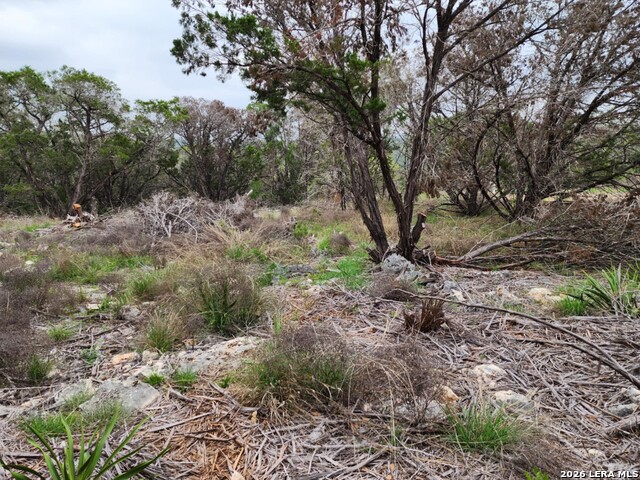 Image 9 of 11 For 1745 Moon View