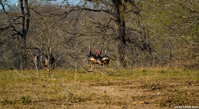 Image 14 of 26 For 13775 Farm To Market Road 725