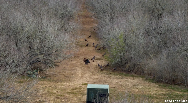 Image 15 of 26 For 13775 Farm To Market Road 725