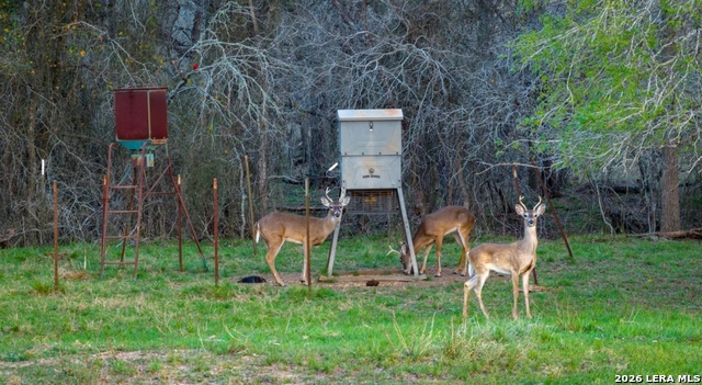 Image 16 of 26 For 13775 Farm To Market Road 725