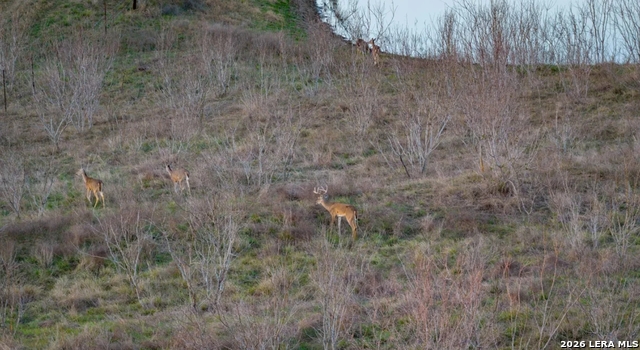 Image 5 of 26 For 13775 Farm To Market Road 725