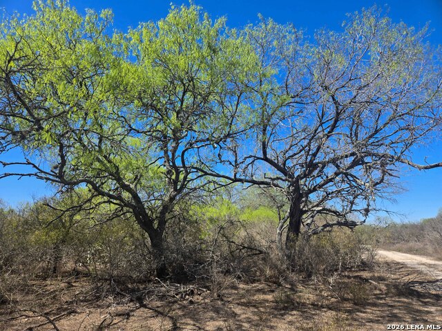 Image 16 of 19 For 9239 Cr 123  