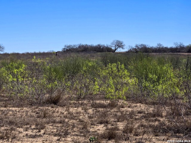 Image 2 of 19 For 9239 Cr 123  