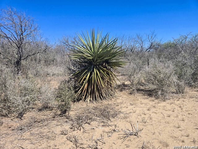 Image 6 of 19 For 9239 Cr 123  