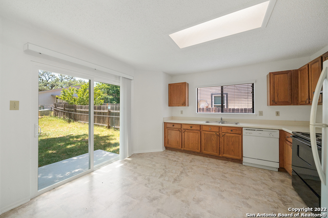 Image 13 of 30 For 12811 Hunting Bear