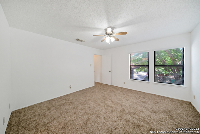 Image 19 of 30 For 12811 Hunting Bear