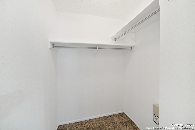 Image 20 of 30 For 12811 Hunting Bear