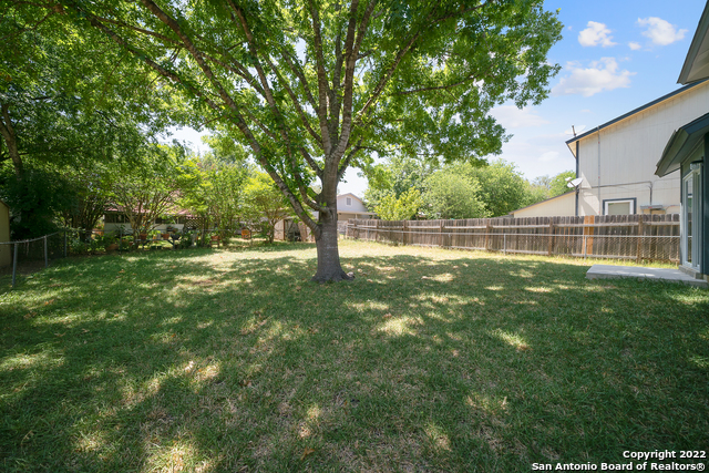 Image 27 of 30 For 12811 Hunting Bear