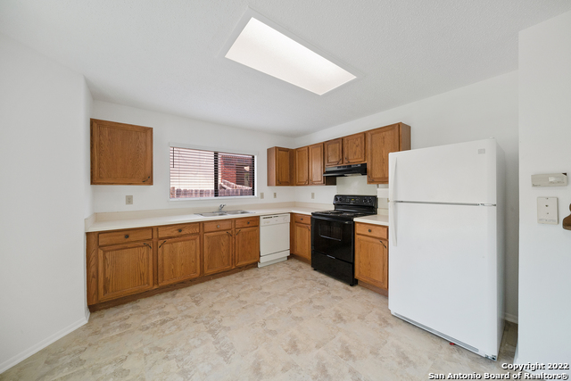 Image 9 of 30 For 12811 Hunting Bear