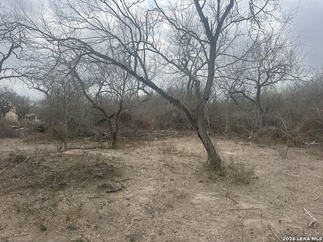 Image 3 of 7 For 711 Davidson N