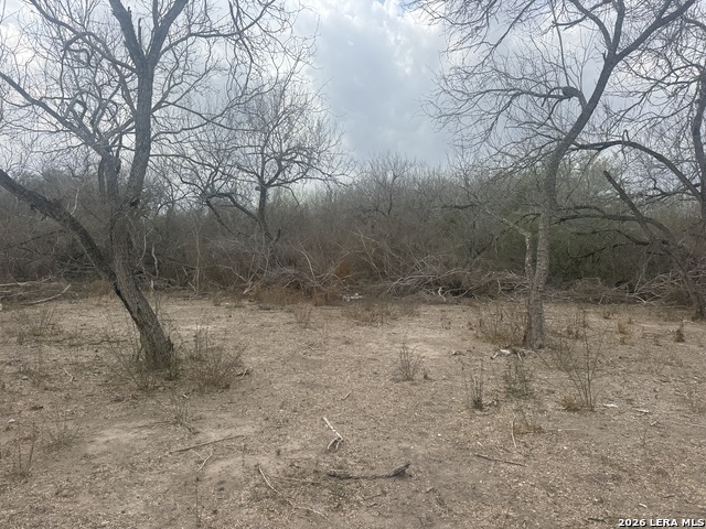 Image 4 of 7 For 711 Davidson N