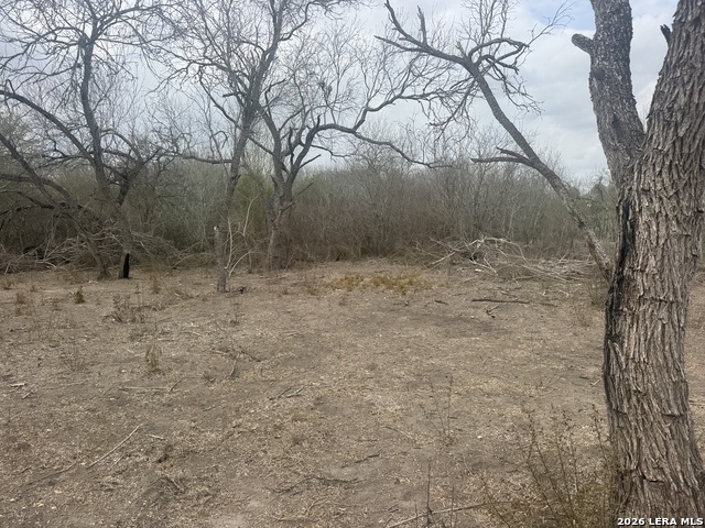 Image 5 of 7 For 711 Davidson N