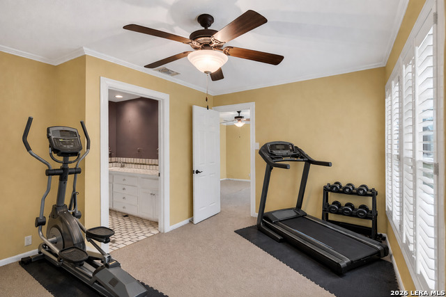 Image 32 of 37 For 506 Castano  