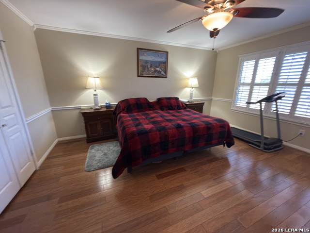 Image 17 of 30 For 24830 Shining Arrow