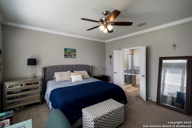 Image 13 of 31 For 10858 Red Sage