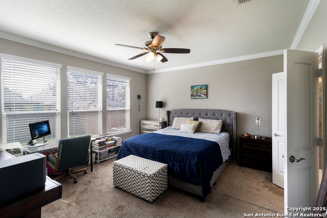 Image 14 of 31 For 10858 Red Sage