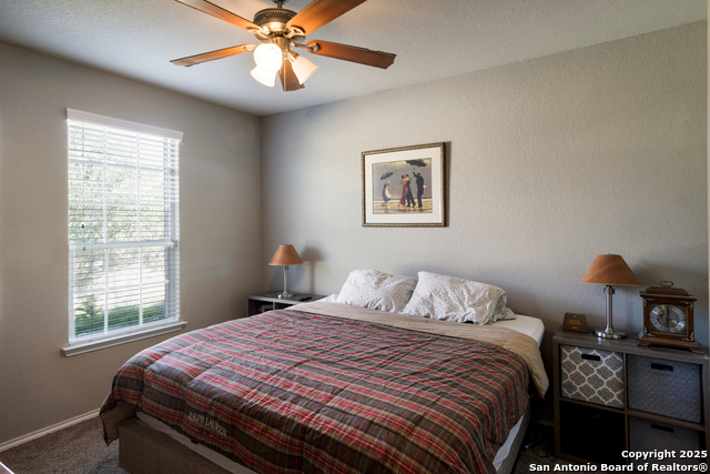 Image 17 of 31 For 10858 Red Sage