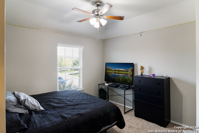 Image 19 of 31 For 10858 Red Sage